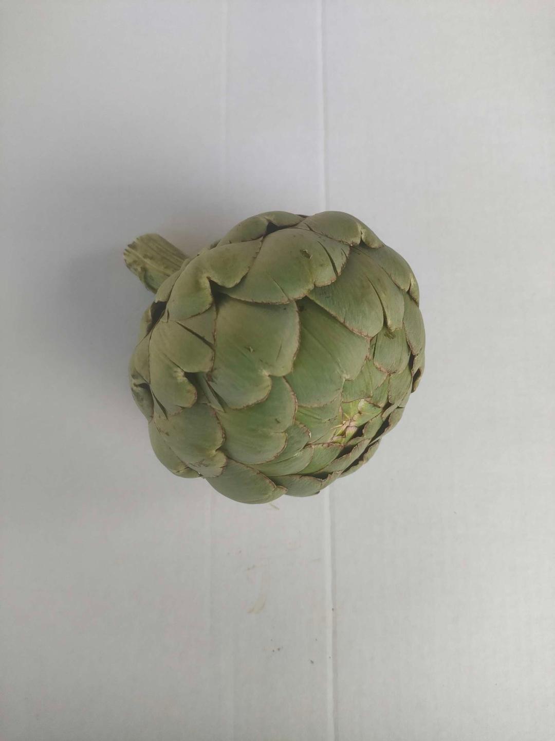 Artichaut blanc cal 15 Espagne 