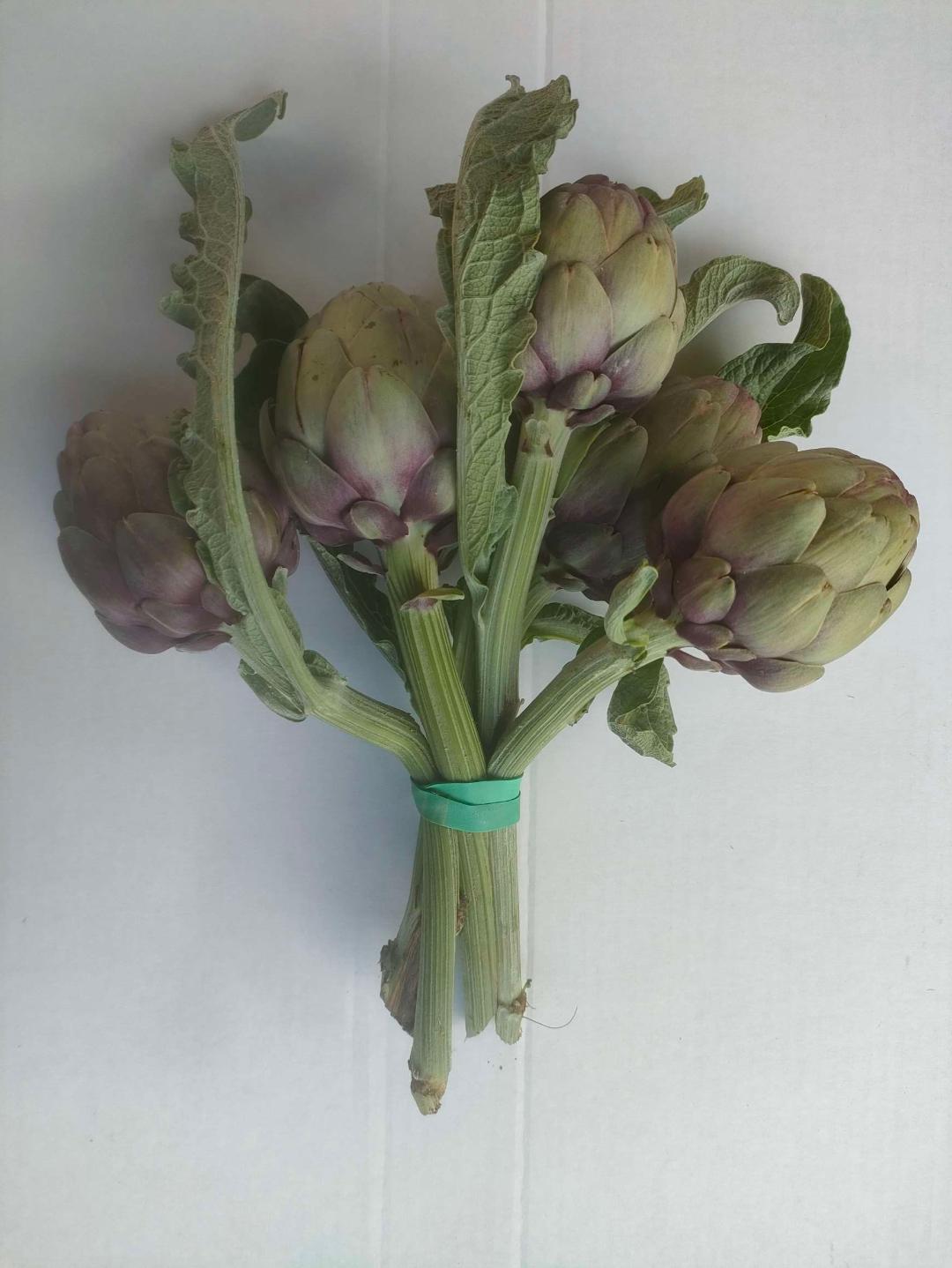 Artichaut bouquet Espagne 