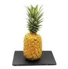 Ananas avion Costa Rica 