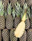 Ananas pain de sucre Ghana 