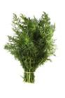 Aneth Provence 