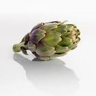 Artichaut violet cal 44 France 