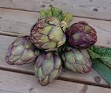 Artichaut bouquet France 