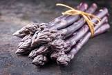 Asperge pourpre 