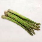 Asperge verte cal 12/16 500gr France 