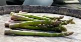 Asperge verte cal 16/22 Provence 