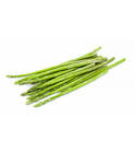 Asperge verte cal 12/16 500gr Espagne 