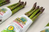 Asperge verte 20+ Italie 