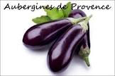 Aubergine longue Provence 