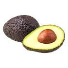 Avocat mur trops cal 20 
