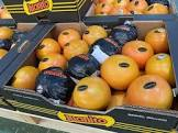 Pomelos cal 45 ou 50 Espagne ou Egypte 