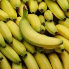 Banane p 20 scb Cote d'Ivoire 