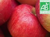 Pomme pink kiss 13kg Provence 