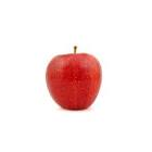 Pomme story bio plateau 200-240 gr France 