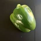 Poivron vert standard 5kg Espagne/Maroc 