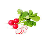 Radis rondelle 1kg 