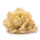 Salade castelfranco Italie 