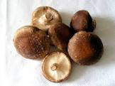 Shitake 