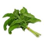 Basilic botte France 
