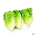 Sucrine x3 Espagne 