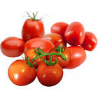 Tomate cal 82-102 Belgique/Hollande 