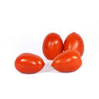 Tomate cerise allongée 250gr Maroc 