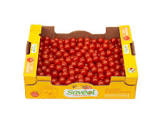 Tomate cerise couleur France 4kg 