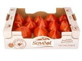 Tomate cocktail couleur 3.5kg France 