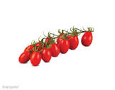 Tomate cerise grappe allongée Espagne 