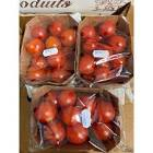 Tomate cerise grappe Maroc 