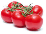Tomate grappe Espagne 