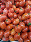 Tomate Roma Espagne/Maroc 