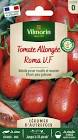 Tomate Roma France 