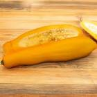 Courgette jaune std Provence 