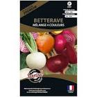 Betterave mix France 