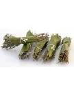 Bouquet garni Provence 