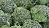 Brocoli Bretagne 