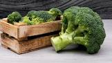Brocoli Belgique 