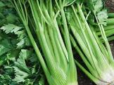 Celeri branche batonnet snacking 1kg 
