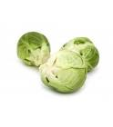 Chou de bruxelles Maroc 5kg 