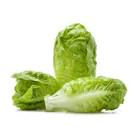 Salade coeur de romaine x2 Espagne 