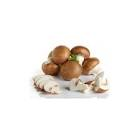 Champignon crème Pologne 