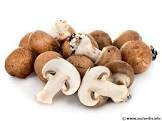 Champignon de Paris France 
