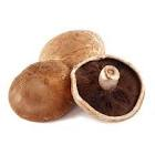 Champignon portobello Pologne/Hollande 2kg 