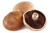 Champignon portobello France 