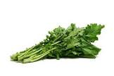 Chou cima di rapa Italie 