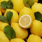 Citron jaune feuille Italie 