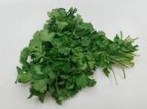 Coriandre botte France 50gr 