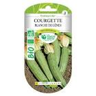 Courgette blanche Provence 