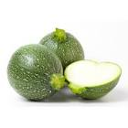 Courgette ronde Provence 